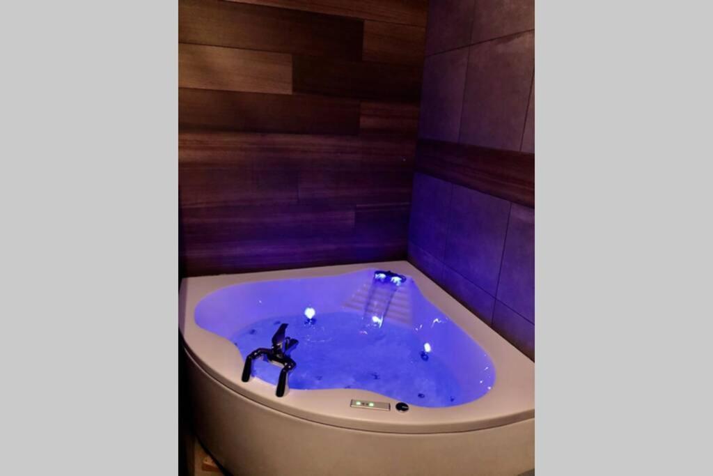 Studio Cocooning Spa, Lit Xxl, Cour Exterieure Le Puy-en-Velay Экстерьер фото